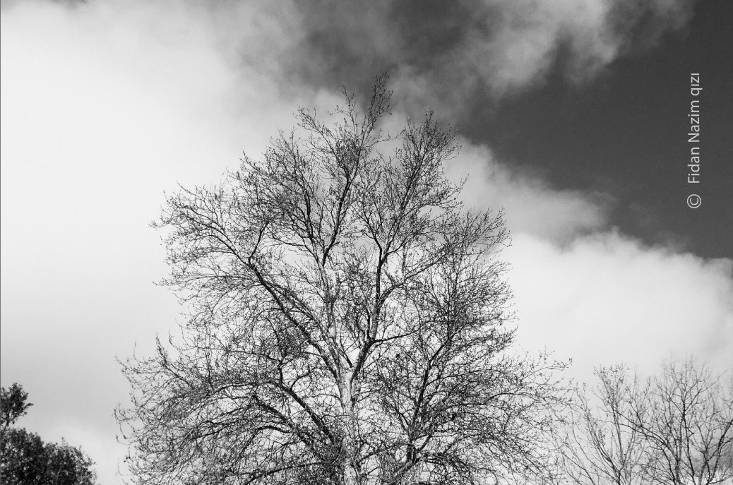 City of Winds by Fidan Nazim Qizi City of Winds by Fidan Nazim Qizi - Photo of the Day, Nature Photography, Award Winning Photography, Baku, Fidan Nazim Qizi