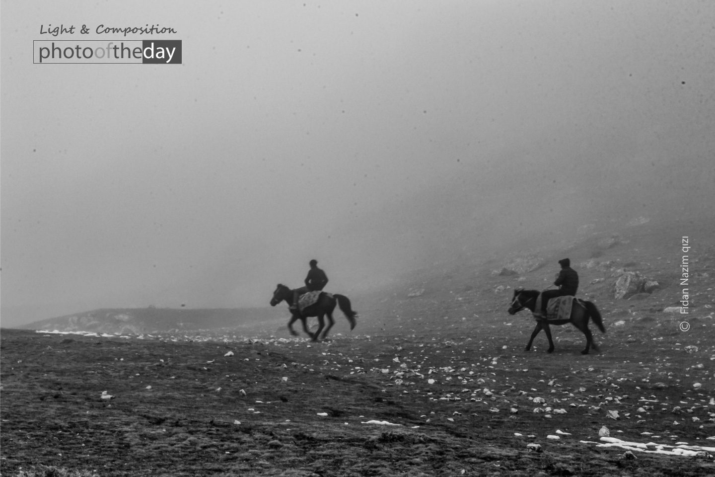 A Form of Life by Moslem Azimi - Minimalist Photography, Award Winning Photography, Photo of the Day, Moslem Azimi, Art Photography
