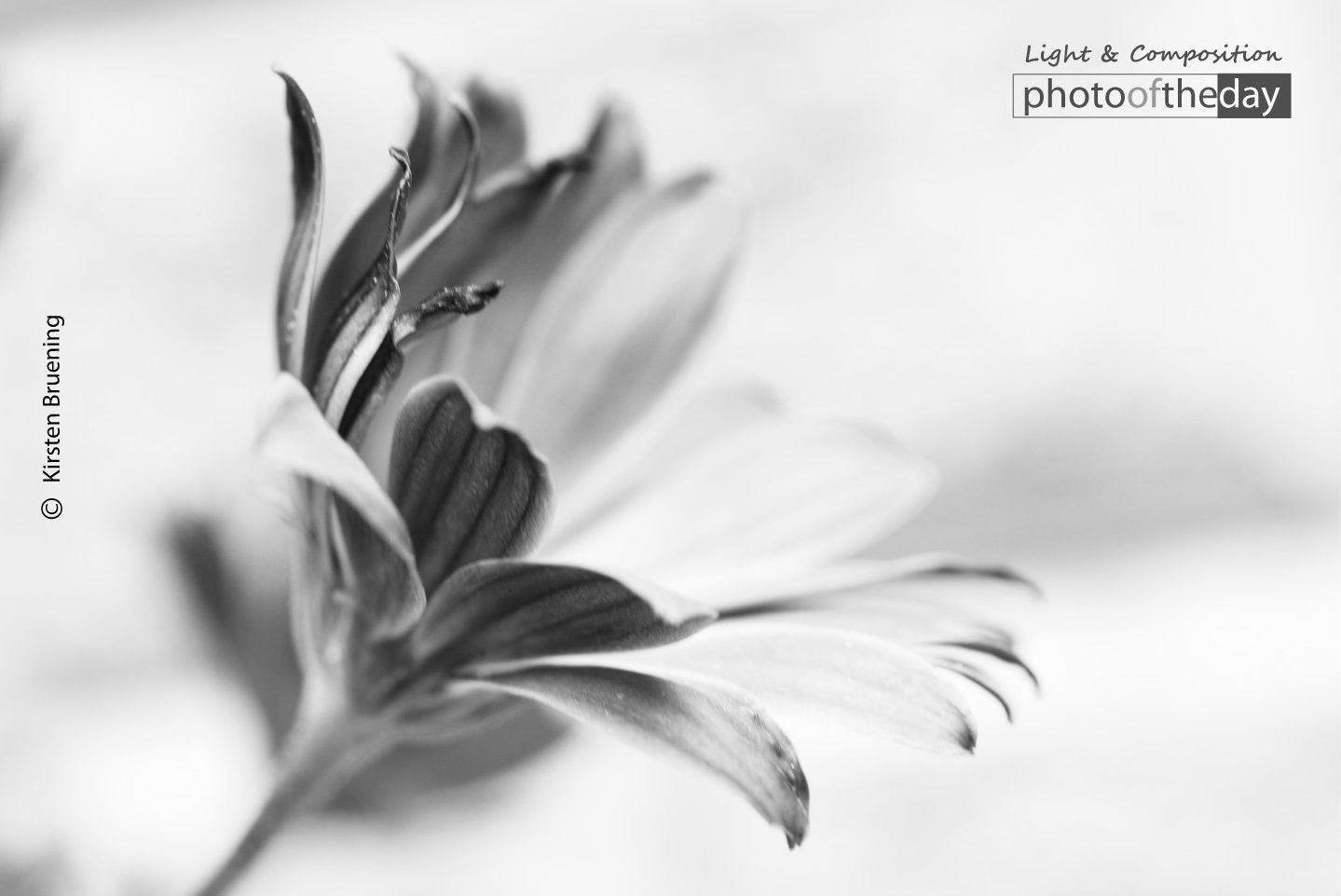 Photo of the day 10122020 1n