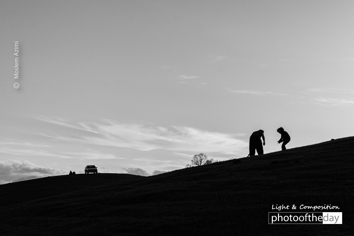 A Form of Life by Moslem Azimi A Form of Life by Moslem Azimi - Minimalist Photography, Award Winning Photography, Photo of the Day, Moslem Azimi, Art Photography