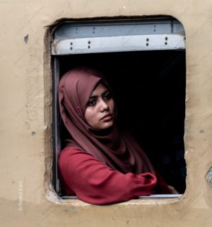 Woman in the Train Window