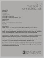 Into the World of Perspective