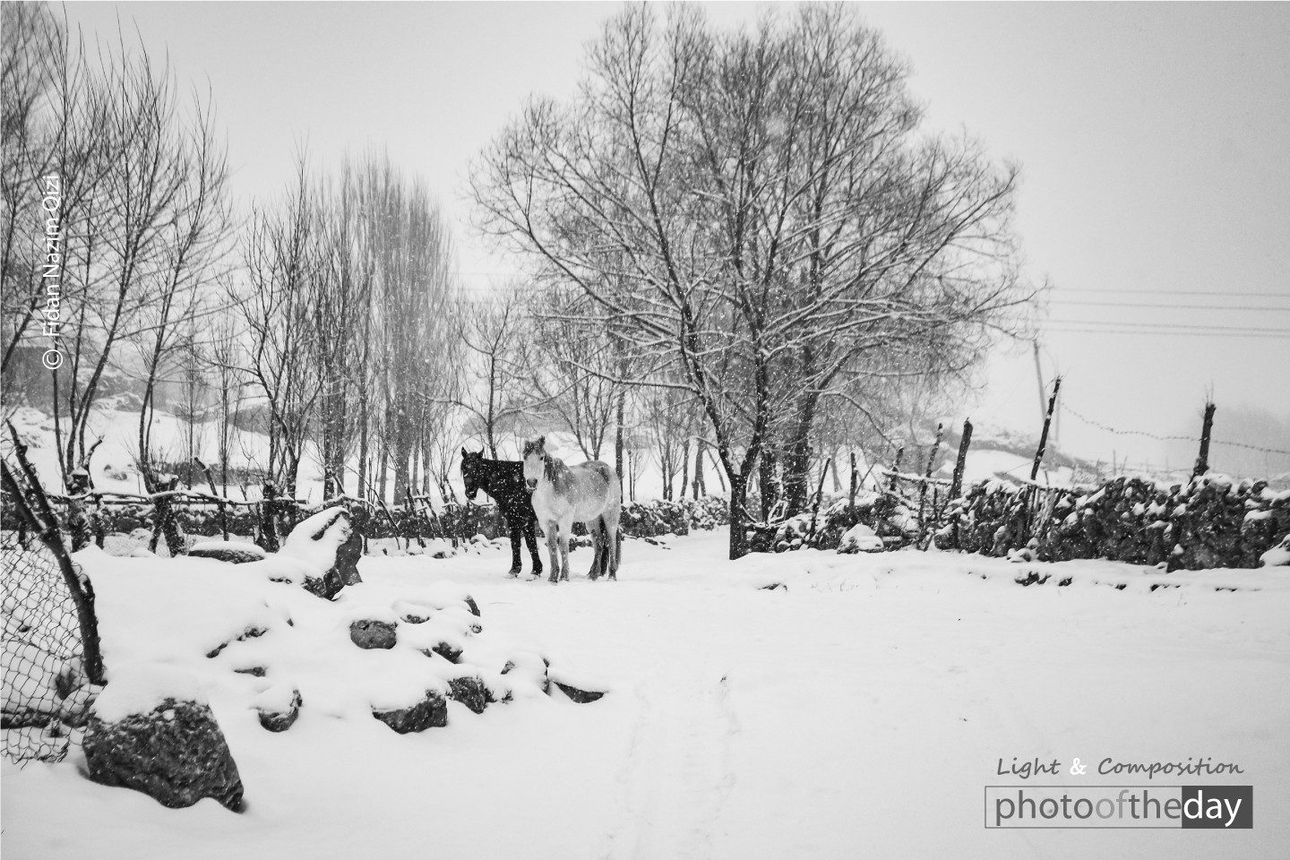 Life in Qriz by Fidan Nazim Qizi Life in Qriz by Fidan Nazim Qizi - Photojournalism, Documentary Photography, Azerbaijan, Photography Awards, Photo of the Day