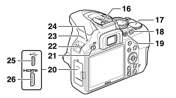 Nikon D3500 - Nikon D3500, Photography Tutorials, Digital SLR, Camera Guide, Photography Tips