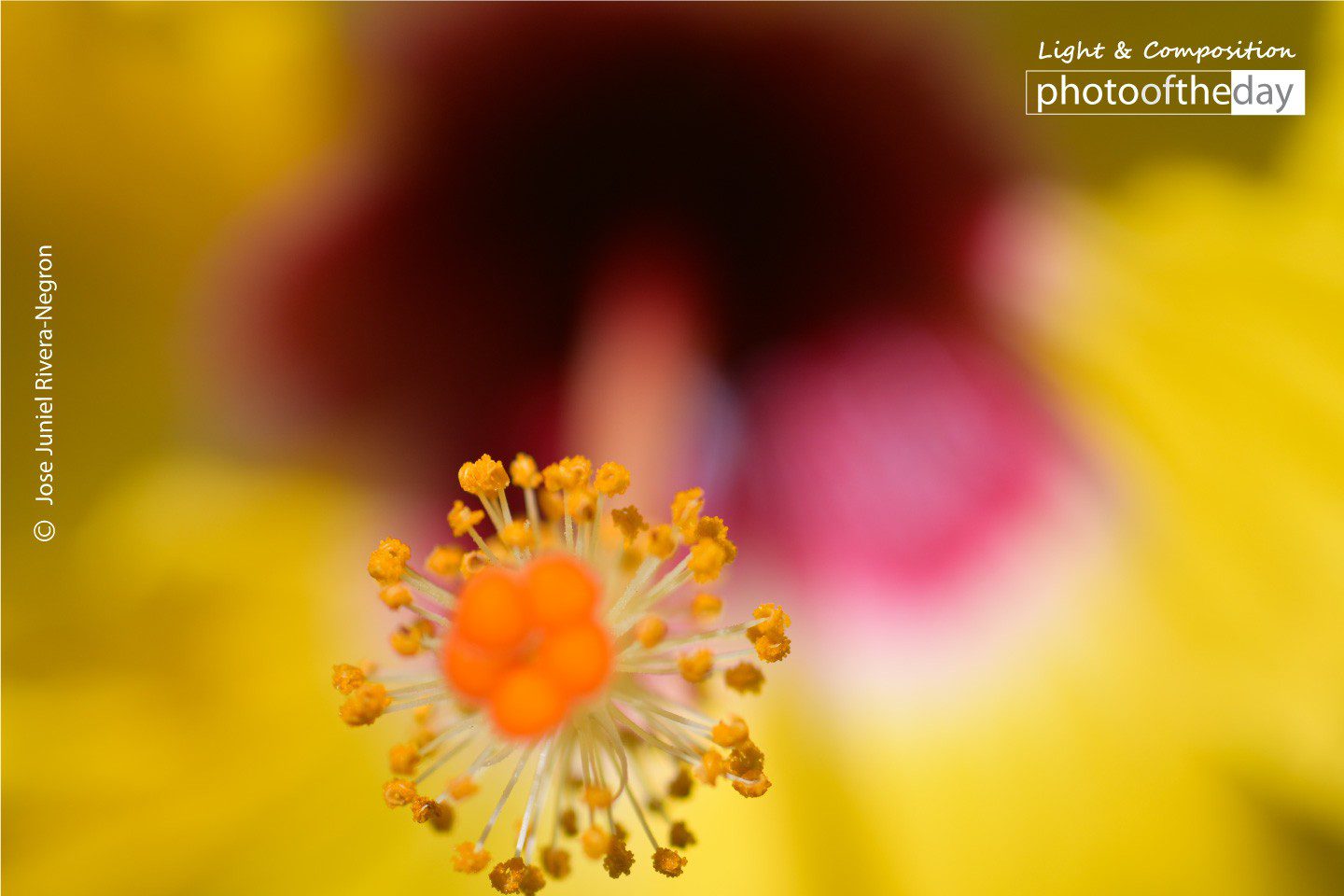 Touching the Edge by Jose Juniel Rivera-Negron Touching the Edge by Jose Juniel Rivera-Negron - Close-up Photography, Photo of the Day, Photography Awards, Art Photography, Photography Education