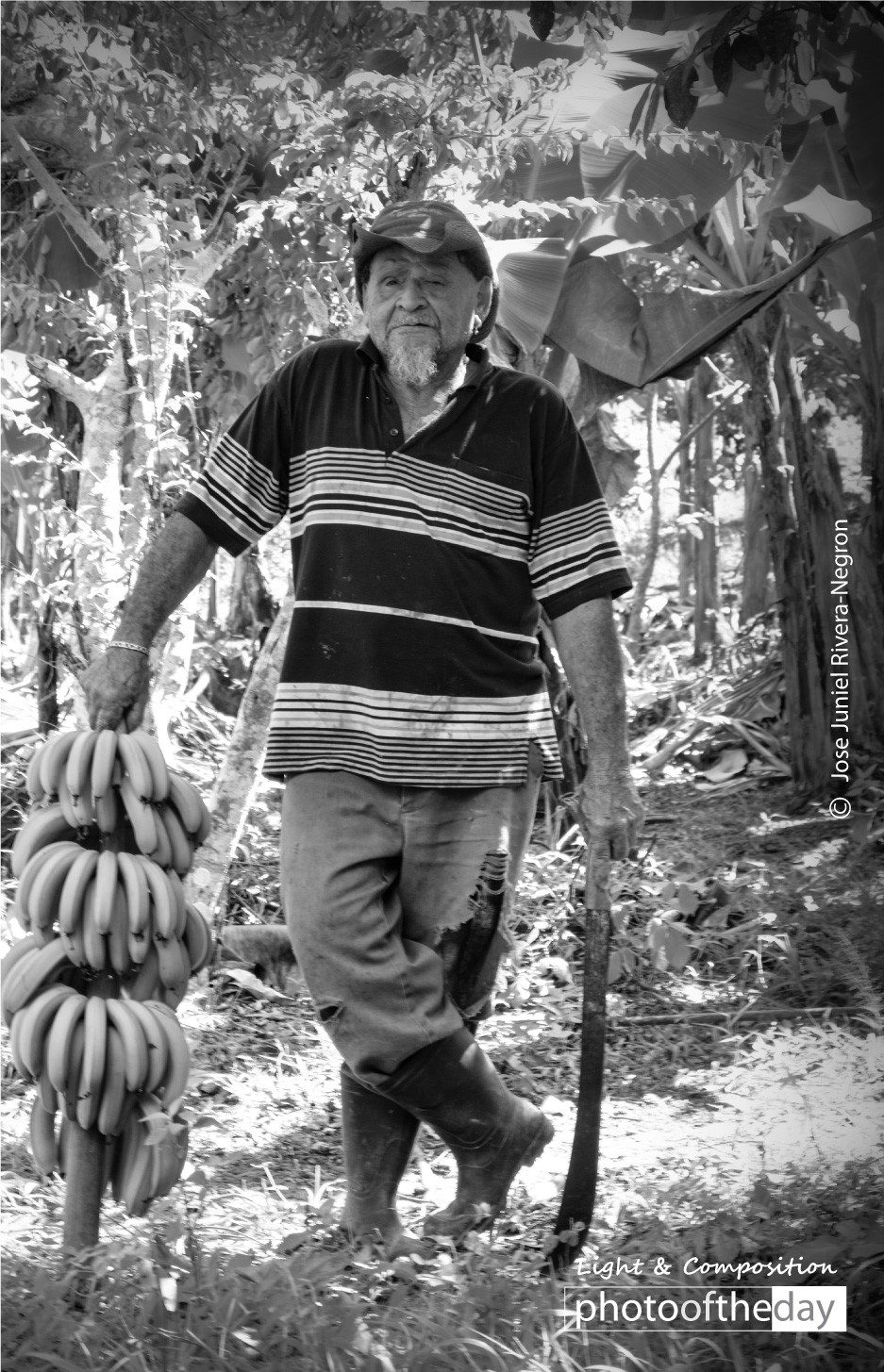 Photo of the day 03072021 1n