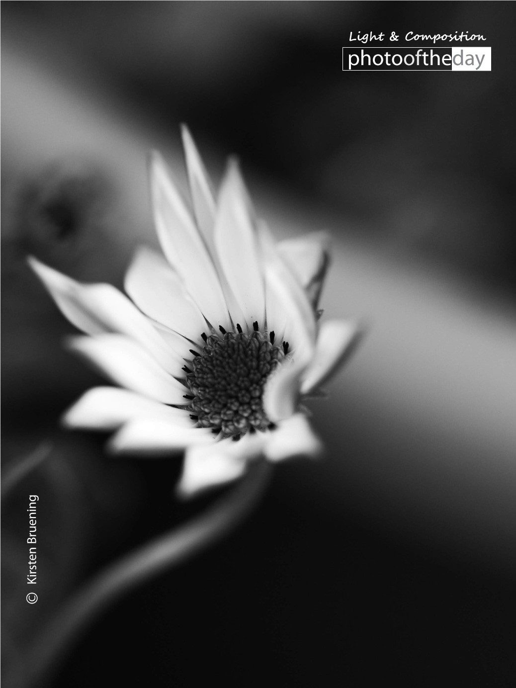 Photo of the day 05082021 1n