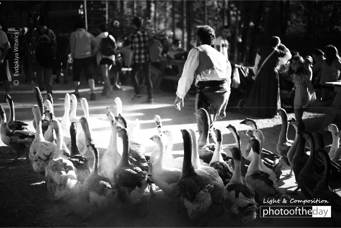 The Driver of Geese by Evdokiya Witwicki The Driver of Geese by Evdokiya Witwicki - Street Photography, Award Winning Photography, Photojournalism, Photography Awards, Evdokiya Witwicki