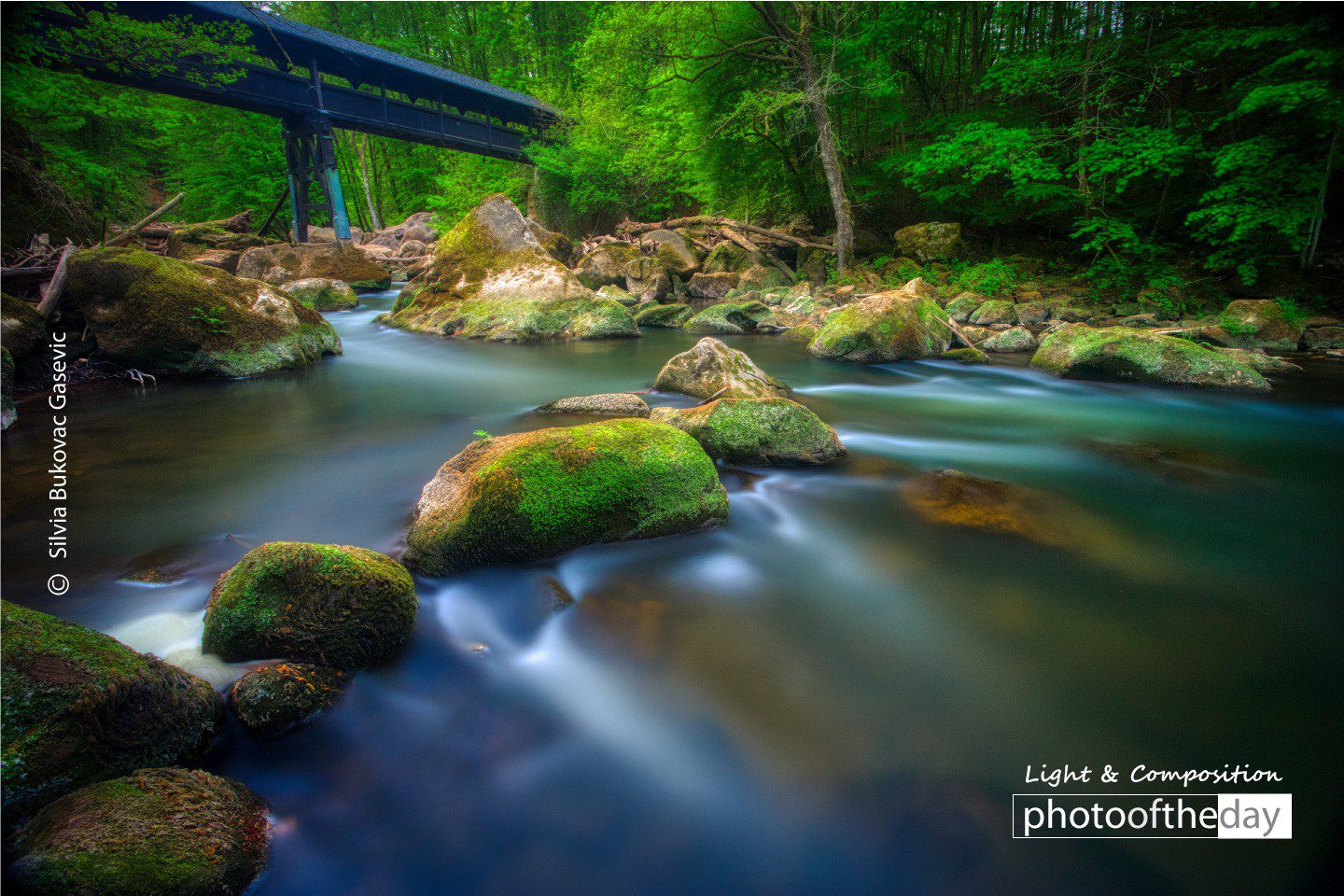 Nature Photography, Long Exposure Photography, Photography Awards, Photo of the Day, Light & Composition University - Spring by Silvia Bukovac Gasevic Spring by Silvia Bukovac Gasevic - Nature Photography, Long Exposure Photography, Photography Awards, Photo of the Day, Light & Composition University