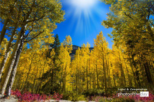 Kenosha Pass in Fall by Zara Otaifah - Fall Photography, Nature Photography, Photo of the Day, Photography Awards, Light & Composition University