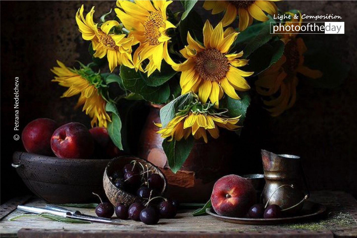Sunflowers by Petrana Nedelcheva - Still Life Photography, Photo of the Day, Photography Awards, Art Photography, Petrana Nedelcheva