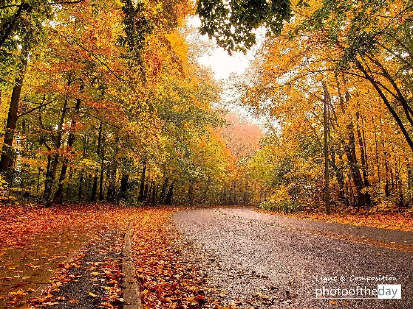 Photo of the day 18022021 1n