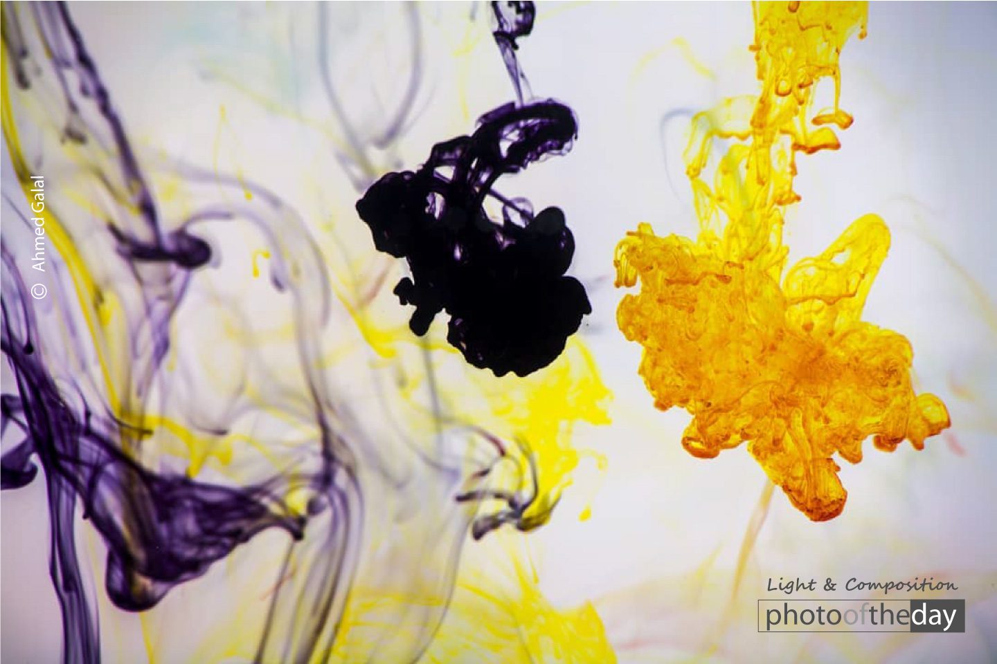 Ink In Water by Ahmed Galal Ink In Water by Ahmed Galal - Color Photography, Abstract Photography, Photo of the Day, Photography Awards, Ahmed Galal
