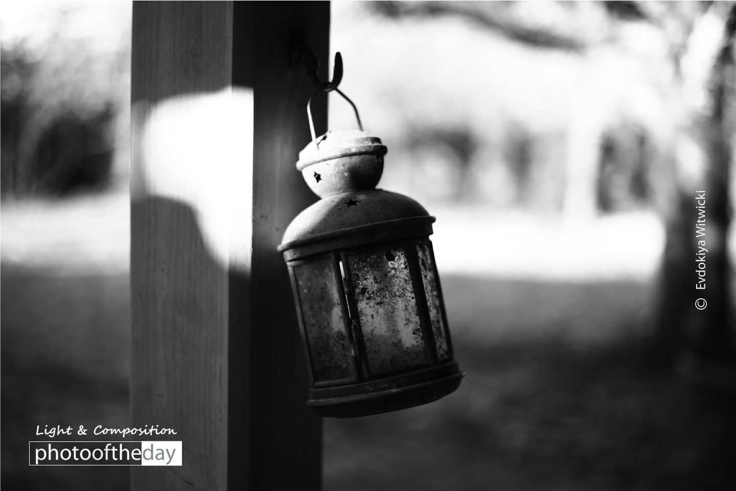 Waiting by Evdokiya Witwicki Waiting by Evdokiya Witwicki - Photo of the Day, Still Life Photography, Award Winning Photography, Evdokiya Witwicki, Photography Awards