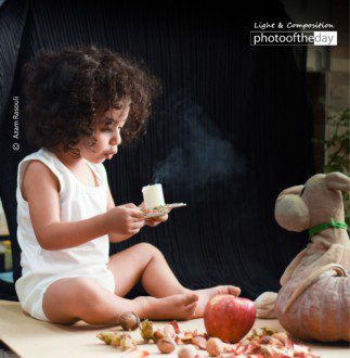 Butterfly by Azam Rasouli - Photojournalism, Photography Award, Close-up Photography, Butterfly Photography, Azam Rasouli