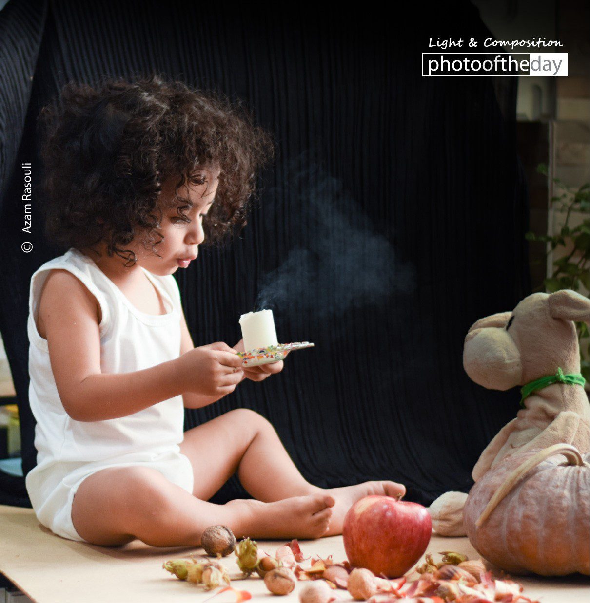 Butterfly by Azam Rasouli - Photojournalism, Photography Award, Close-up Photography, Butterfly Photography, Azam Rasouli