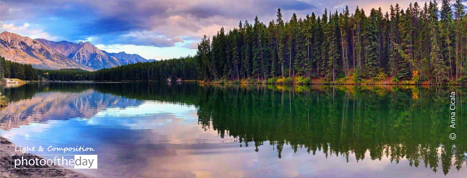 Green Thumb by Anna Cicala Photo of the day 28022021 1n