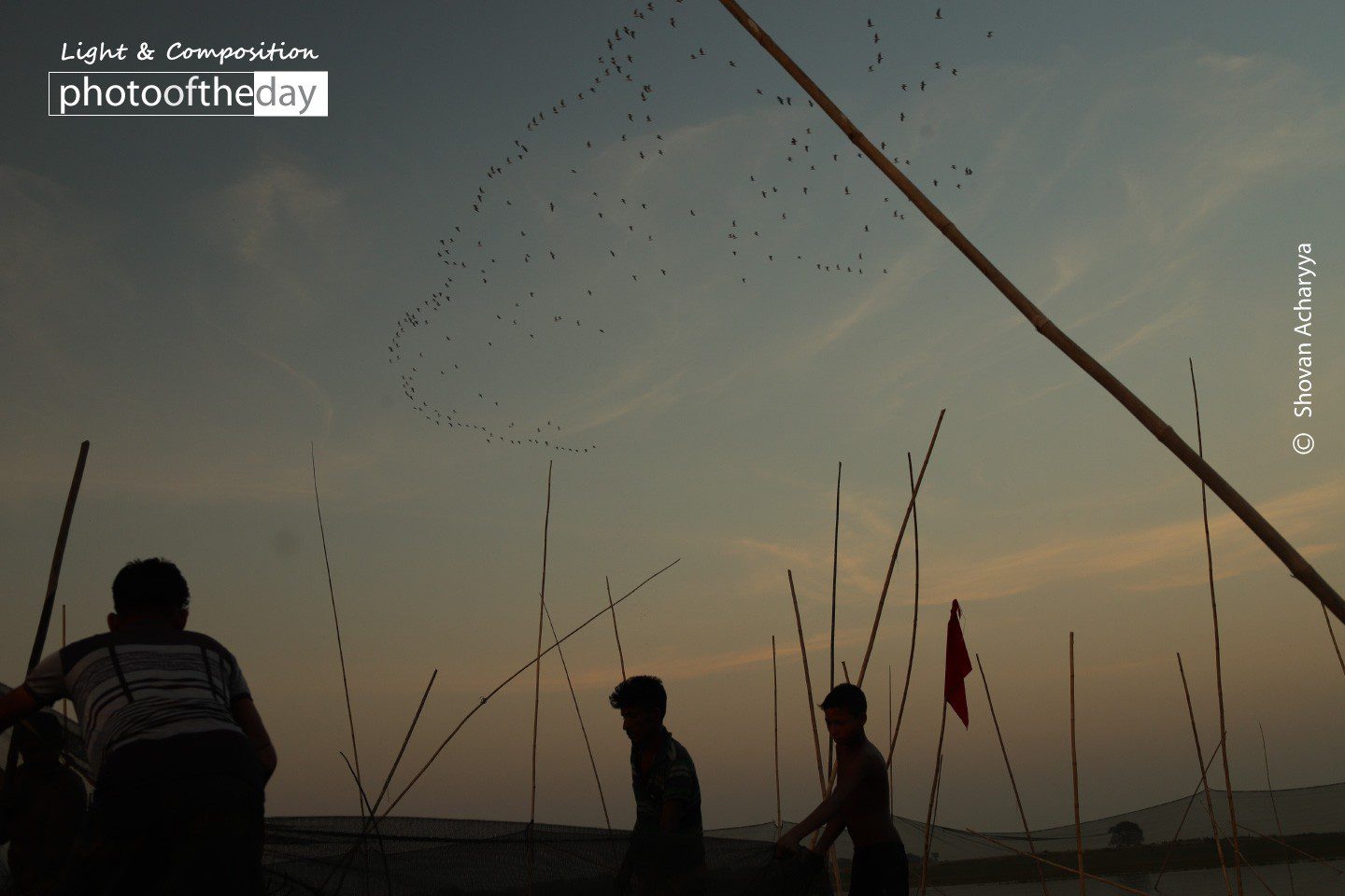 Chirping Tranquility by Shovan Acharyya Chirping Tranquility by Shovan Acharyya - Photojournalism, Documentary Photography, Children Photography, Photography Awards, Light & Composition University