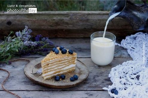 A Snail on My Way by Petrana Nedelcheva - Close-up Photography, Photography Awards, Art Photography, Nature Photography, Photo of the Day