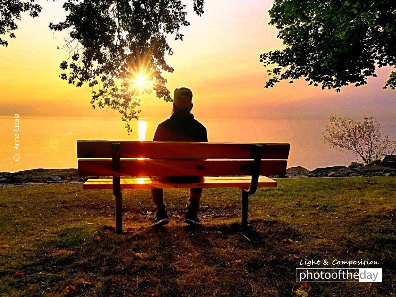 Morning Glory by Anna Cicala A World of Octobers by Anna Cicala - Nature Photography, Photography Awards, Photo of the Day, Online Photography Courses, Art Photography