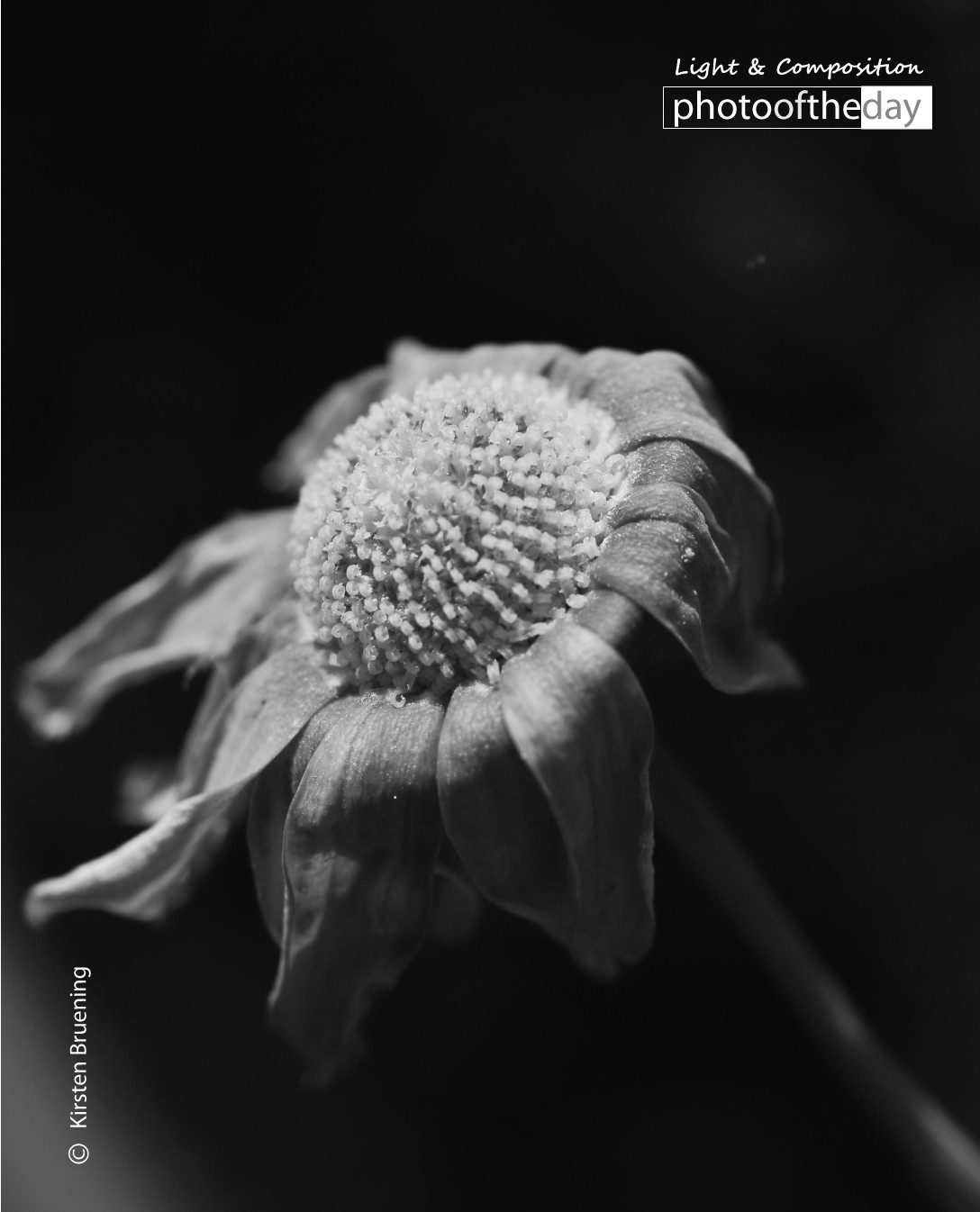 Experimenting Low Key by Kirsten Bruening