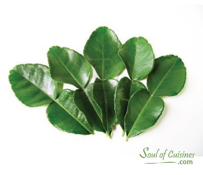 Kaffir Lime leaf Kaffir Lime leaf