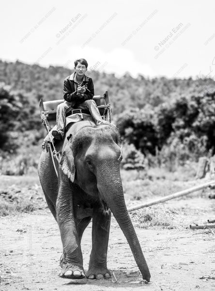 The Mahout's Approach - Fine Art Photography Print, Limited Edition Photography,  Museum-Quality Photography,  Elephant Photography, Documentary Photography