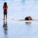 Two Children on a Sandbar Two Children on a Sandbar - Fine Art Photography Print, Limited Edition Photography, Giclée Print, Contemporary Art Photography, Children Photography
