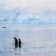 Two Figures in the Quiet Sea Two Bathers on a Silver Sea - Fine Art Photography Print, Limited Edition Photography, Museum-Quality Artwork, High-End Photography Prints, Art Photography Collectors