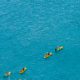 Yellow Kayaks on a Turquoise Sea Yellow Kayaks on a Turquoise Sea - Fine Art Photography Print, Limited Edition Photography, Giclée Print, Luxury Photography Art, Art Photography Investment