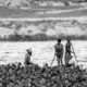 River Workers Amidst the Hyacinths River Workers Amidst the Hyacinths - Fine Art Photography Print, Limited Edition Photography, Black and White Photography, Giclée Print, Art Photography Investment