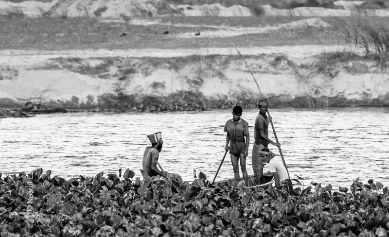 River Workers Amidst the Hyacinths - Fine Art Photography Print, Limited Edition Photography, Black and White Photography, Giclée Print, Art Photography Investment