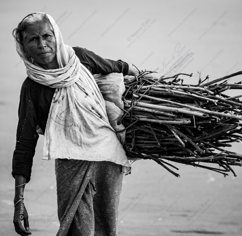 Carrying Branches on Her Back