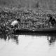 Two Boys in a Skiff Among Water Hyacinths - Fine Art Photography Prints, Limited Edition Photography, Black and White Photography, Fine Art Print, Photography Art