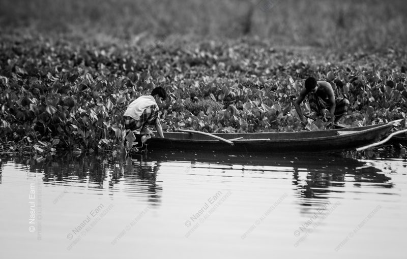Two Boys in a Skiff Among Water Hyacinths Two Boys in a Skiff Among Water Hyacinths - Fine Art Photography Prints, Limited Edition Photography, Black and White Photography, Fine Art Print, Photography Art