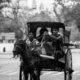 The Young Drivers of the City Carriage The Young Drivers of the City Carriage - Fine Art Photography Print, Limited Edition Photography, Black and White Photography, Documentary Photography, Giclée Print