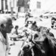 An Elder Wiping the Face of His Cow An Elder Wiping the Face of His Cow - Fine Art Photography Print, Limited Edition Photography, Documentary Photography, Black and White Photography, Art Photography for Sale