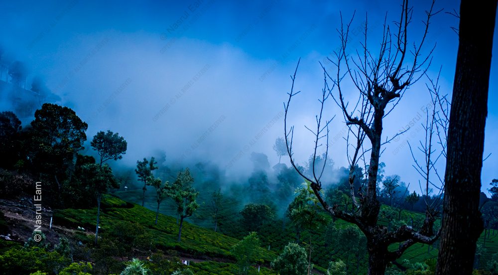 Emerald Slopes and Veiled Light