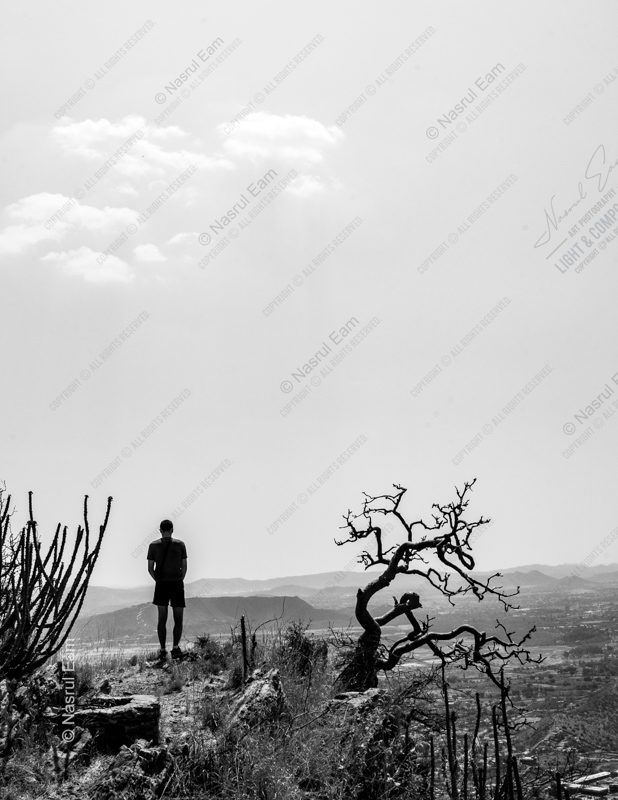 A Man and a Gnarled Tree on a Hillside