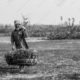A Farmer Carrying His Woven Burden - Fine Art Photography Print, Limited Edition Photography, Monochrome Photography,  Luxury Photography Art,  Human Interest Photography