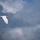 A Solitary Egret Against a Brooding Sky A Solitary Egret Against a Brooding Sky - Fine Art Photography Print, Limited Edition Photography, Giclée Print, Luxury Photography Art, Art Photography Investment