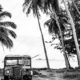 An Abandoned Truck Beneath the Palms An Abandoned Truck Beneath the Palms - Fine Art Photography Print, Limited Edition Photography, Museum-Quality Photography, Black and White Photography, Fine Art Print