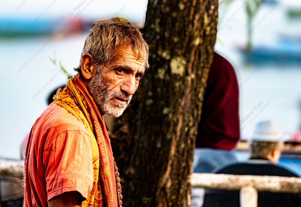 Contemplative Gaze by the River Tree
