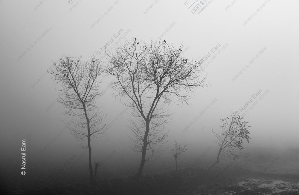 Sentinels in the Shroud