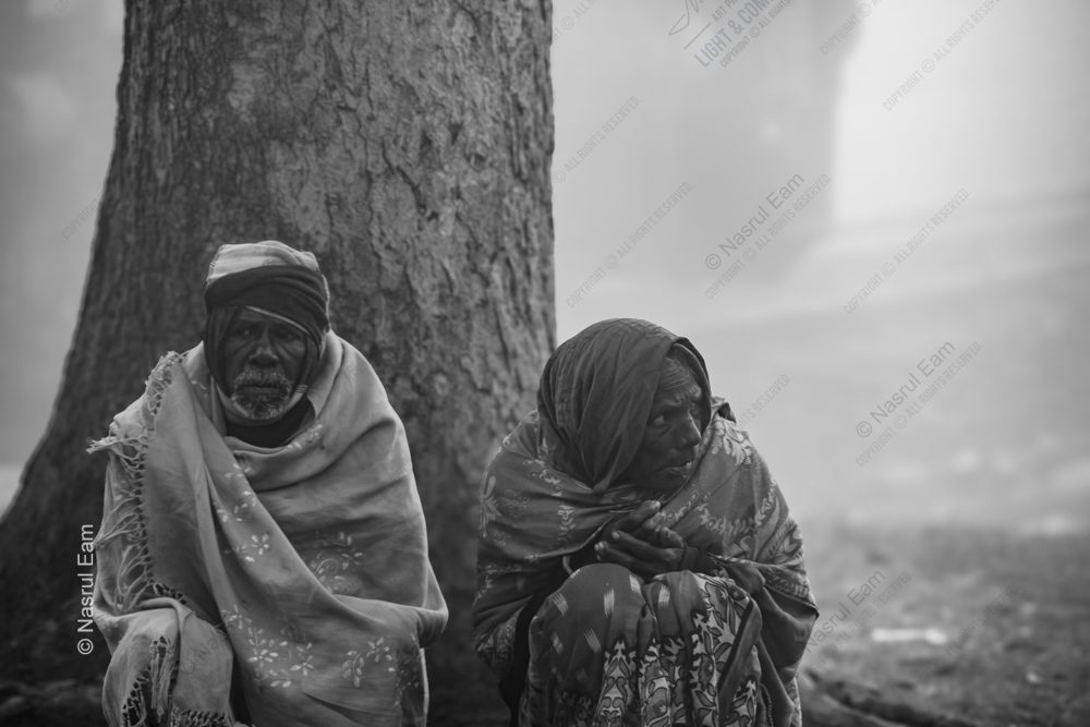 Under the Ancient Bough