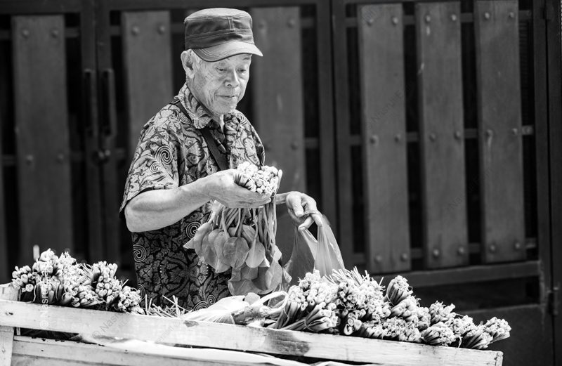 The Vendor with Bundled Leaves