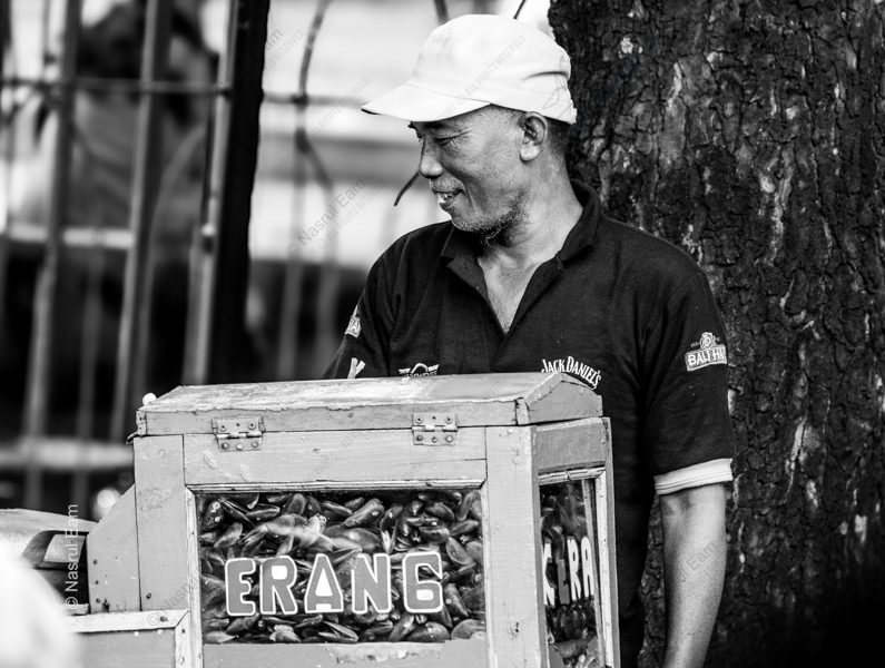 The Kerang Vendor by the Tree