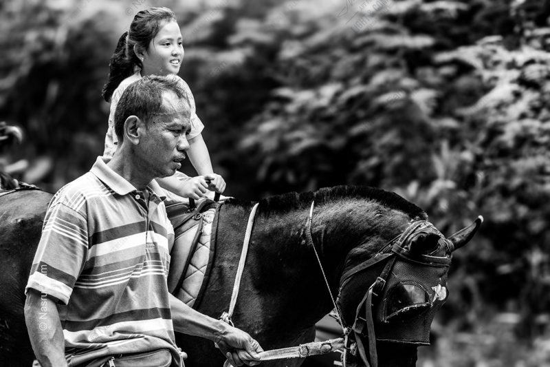 The Horse Guide and the Young Rider
