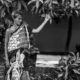 Woman Under the Mango Bough - Fine Art Photography Print, Limited Edition Photography, Black and White Portrait,  Art Photography,  Luxury Photography Print