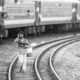 The Water Carrier on the Railway Line - visual storytelling photography, monochrome photography, photography masterclass, documentary photography, fine art prints, photography composition